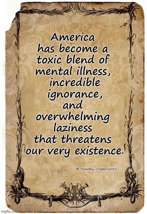 America Today | America 
has become a 
toxic blend of 
mental illness, 
incredible
 ignorance, 
and 
overwhelming 
laziness 
that threatens 
our very existence. © Timothy J.Sabo/2021 | image tagged in mental illness,ignorance,laziness,america,existence | made w/ Imgflip meme maker