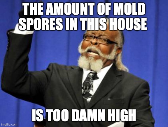 The amount of mold spores in this house | THE AMOUNT OF MOLD SPORES IN THIS HOUSE; IS TOO DAMN HIGH | image tagged in memes,too damn high | made w/ Imgflip meme maker