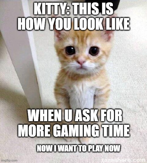 This is how u look like when u ask for more gaming time | KITTY: THIS IS HOW YOU LOOK LIKE; WHEN U ASK FOR MORE GAMING TIME; NOW I WANT TO PLAY NOW | image tagged in memes,cute cat,gaming | made w/ Imgflip meme maker