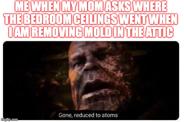 It's in the ceilings. | ME WHEN MY MOM ASKS WHERE THE BEDROOM CEILINGS WENT WHEN I AM REMOVING MOLD IN THE ATTIC | image tagged in gone reduced to atoms | made w/ Imgflip meme maker
