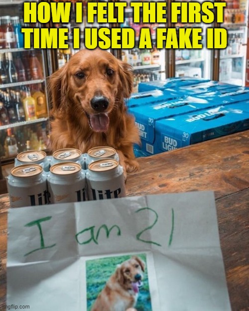 Literally! | HOW I FELT THE FIRST TIME I USED A FAKE ID | image tagged in beer,drink beer,identity,21,cold beer here,dogs | made w/ Imgflip meme maker