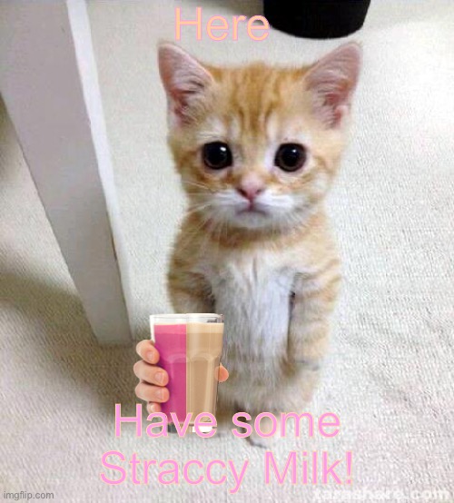Cute Cat Meme | Here; Have some Straccy Milk! | image tagged in memes,cute cat,straby milk,choccy milk,straccy milk,i dont know what i am doing | made w/ Imgflip meme maker