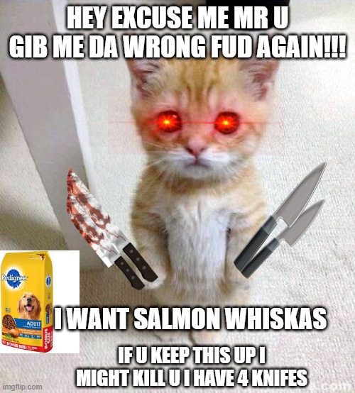 Why are u gibbing me the wrong fud again?!?! | HEY EXCUSE ME MR U GIB ME DA WRONG FUD AGAIN!!! I WANT SALMON WHISKAS; IF U KEEP THIS UP I MIGHT KILL U I HAVE 4 KNIFES | image tagged in memes,cute cat,wrong | made w/ Imgflip meme maker