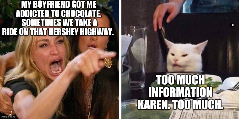 Smudge the cat | MY BOYFRIEND GOT ME ADDICTED TO CHOCOLATE.  SOMETIMES WE TAKE A RIDE ON THAT HERSHEY HIGHWAY. J M; TOO MUCH INFORMATION KAREN. TOO MUCH. | image tagged in smudge the cat | made w/ Imgflip meme maker