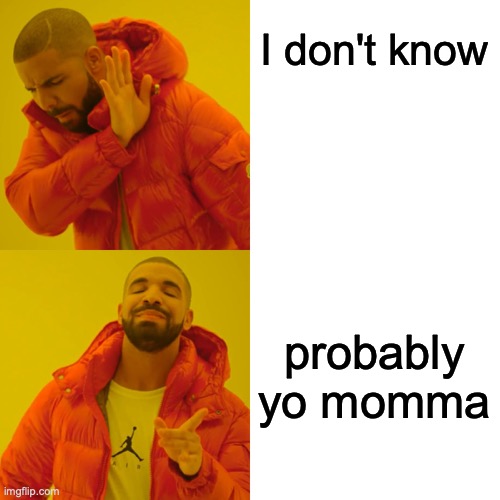 Drake Hotline Bling Meme | I don't know probably yo momma | image tagged in memes,drake hotline bling | made w/ Imgflip meme maker