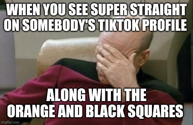 TikToks new trend | WHEN YOU SEE SUPER STRAIGHT ON SOMEBODY'S TIKTOK PROFILE; ALONG WITH THE ORANGE AND BLACK SQUARES | image tagged in memes,captain picard facepalm,super straight,tik tok,tiktok | made w/ Imgflip meme maker