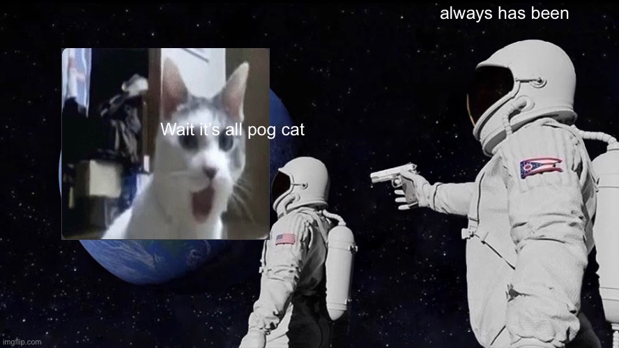 Always Has Been | always has been; Wait it’s all pog cat | image tagged in memes,always has been,pog,poggers,cats | made w/ Imgflip meme maker