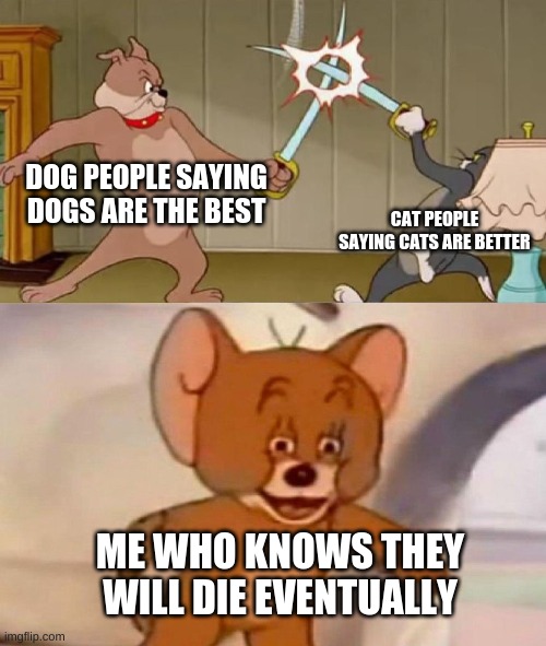 mmmm | DOG PEOPLE SAYING DOGS ARE THE BEST; CAT PEOPLE SAYING CATS ARE BETTER; ME WHO KNOWS THEY WILL DIE EVENTUALLY | image tagged in tom and jerry swordfight | made w/ Imgflip meme maker