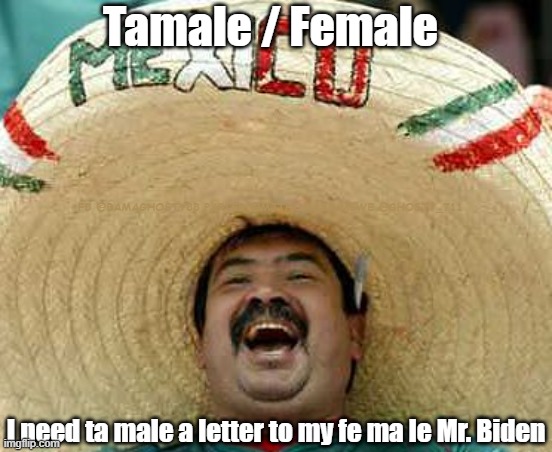 Mexican sombrero | Tamale / Female; FB @BAMAGHOSTY88 PARLER @MJTHOMAS8 MEWE @GHOSTY_711; I need ta male a letter to my fe ma le Mr. Biden | image tagged in mexican sombrero,mexican word of the day,tamale,female,creepy joe biden,nancy pelosi | made w/ Imgflip meme maker