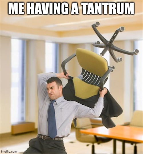 Angry Chair Throwing | ME HAVING A TANTRUM | image tagged in angry chair throwing | made w/ Imgflip meme maker
