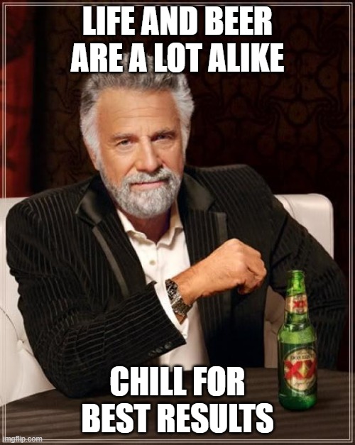 The Most Interesting Man In The World | LIFE AND BEER ARE A LOT ALIKE; CHILL FOR BEST RESULTS | image tagged in the most interesting man in the world,beer,drink beer,chill,chillin,craft beer | made w/ Imgflip meme maker