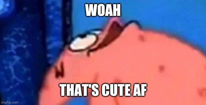 Cute | WOAH; THAT'S CUTE AF | image tagged in patrick looking up | made w/ Imgflip meme maker