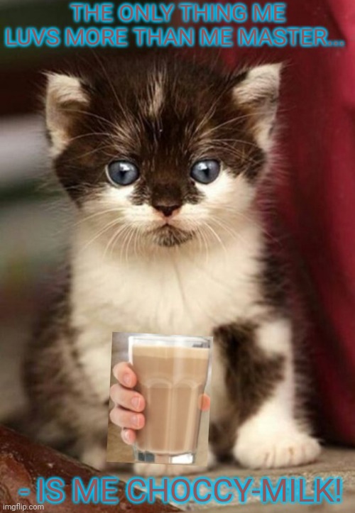 THE ONLY THING ME LUVS MORE THAN ME MASTER... - IS ME CHOCCY-MILK! | image tagged in cute kittens | made w/ Imgflip meme maker