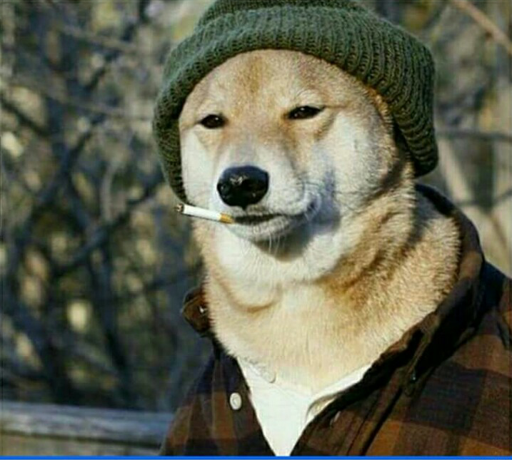 Smoking Dog with Cap Blank Meme Template