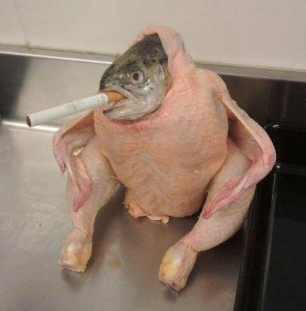 High Quality Smoking Fish in raw chicken Blank Meme Template