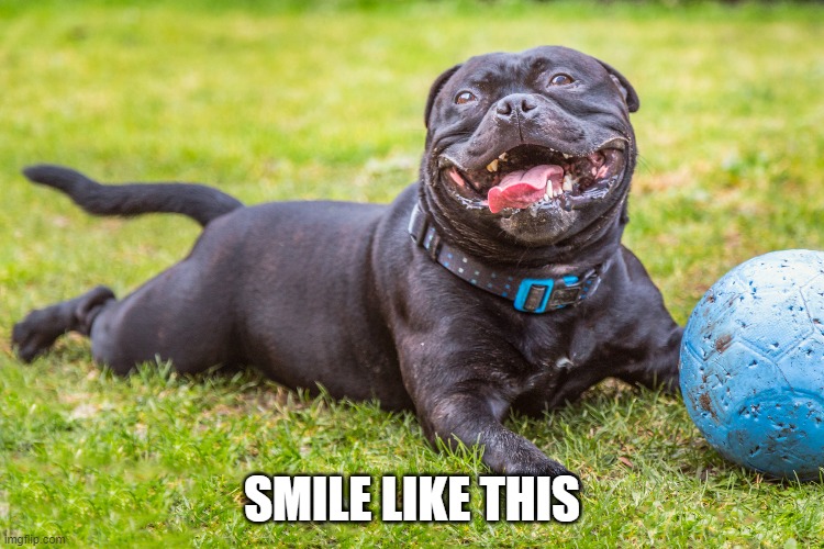 SMILE LIKE THIS | made w/ Imgflip meme maker