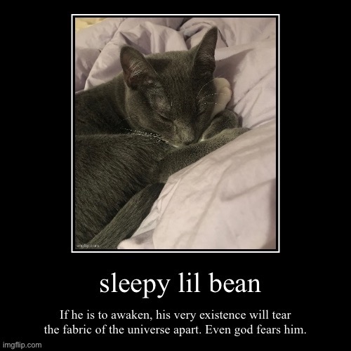 image tagged in funny,demotivationals,cute kitten | made w/ Imgflip meme maker