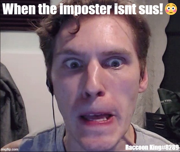 When the imposter isnt sus | When the imposter isnt sus! Raccoon King#8289 | image tagged in jerma | made w/ Imgflip meme maker