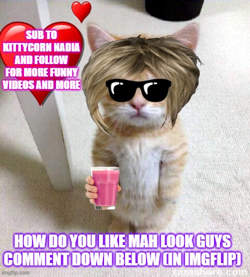 How do you like mah look?! | SUB TO KITTYCORN NADIA AND FOLLOW FOR MORE FUNNY VIDEOS AND MORE; HOW DO YOU LIKE MAH LOOK GUYS
COMMENT DOWN BELOW (IN IMGFLIP) | image tagged in memes,cute cat,cool cat,lol,cute | made w/ Imgflip meme maker