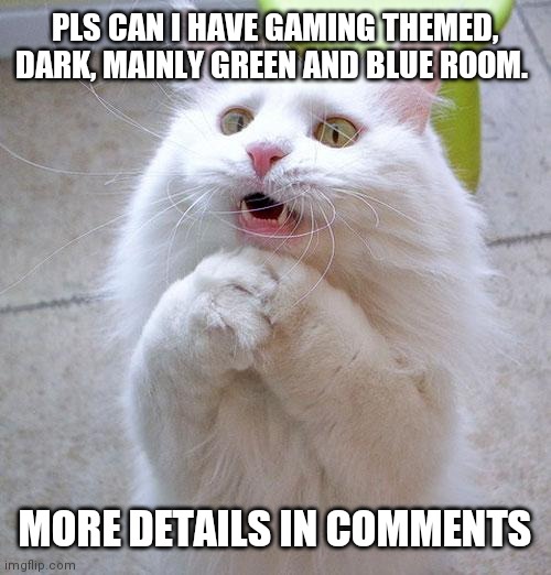 Begging Cat | PLS CAN I HAVE GAMING THEMED, DARK, MAINLY GREEN AND BLUE ROOM. MORE DETAILS IN COMMENTS | image tagged in begging cat | made w/ Imgflip meme maker