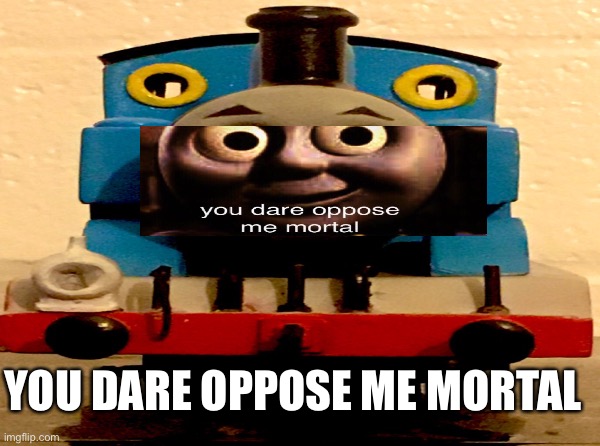 YOU DARE OPPOSE ME MORTAL | image tagged in memes | made w/ Imgflip meme maker