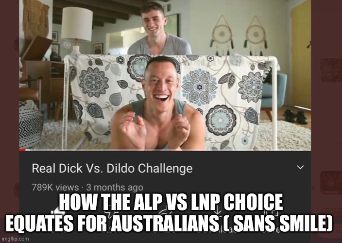 HOW THE ALP VS LNP CHOICE EQUATES FOR AUSTRALIANS ( SANS SMILE) | made w/ Imgflip meme maker