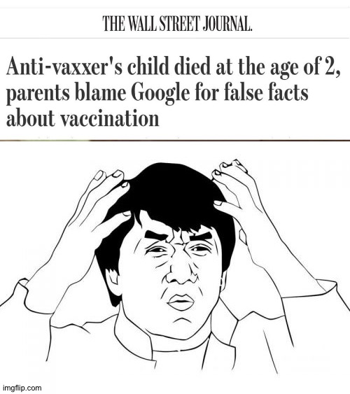The Internet does lie | image tagged in memes,jackie chan wtf,funny,google,anti vax,gifs | made w/ Imgflip meme maker
