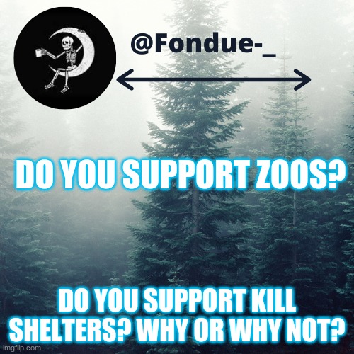 I want opinions | DO YOU SUPPORT ZOOS? DO YOU SUPPORT KILL SHELTERS? WHY OR WHY NOT? | image tagged in questions,answers,logic | made w/ Imgflip meme maker