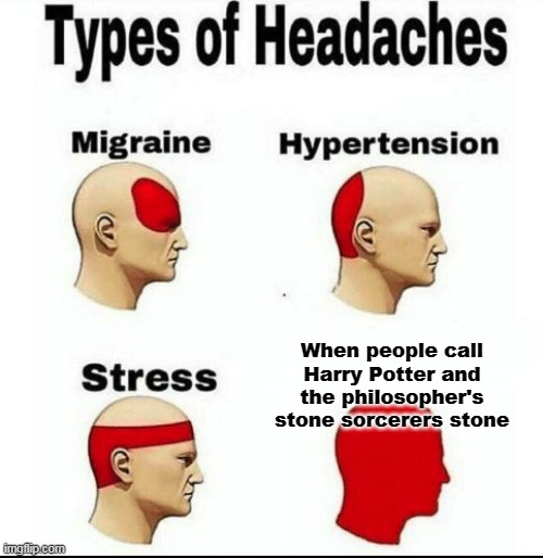 That's so true | When people call Harry Potter and the philosopher's stone sorcerers stone | image tagged in types of headaches meme,harry potter,harry potter and the sorcerer's stone,philosoraptor,annoyed | made w/ Imgflip meme maker