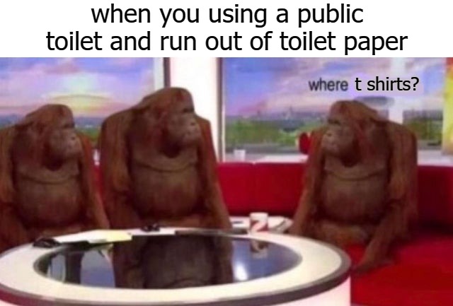 when you using a public toilet and run out of toilet paper; t shirts? | image tagged in poop | made w/ Imgflip meme maker