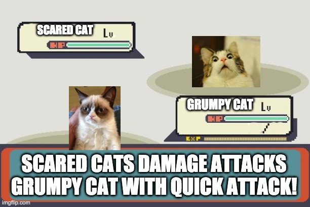 Pokemon Battle | SCARED CAT; GRUMPY CAT; SCARED CATS DAMAGE ATTACKS GRUMPY CAT WITH QUICK ATTACK! | image tagged in pokemon battle | made w/ Imgflip meme maker