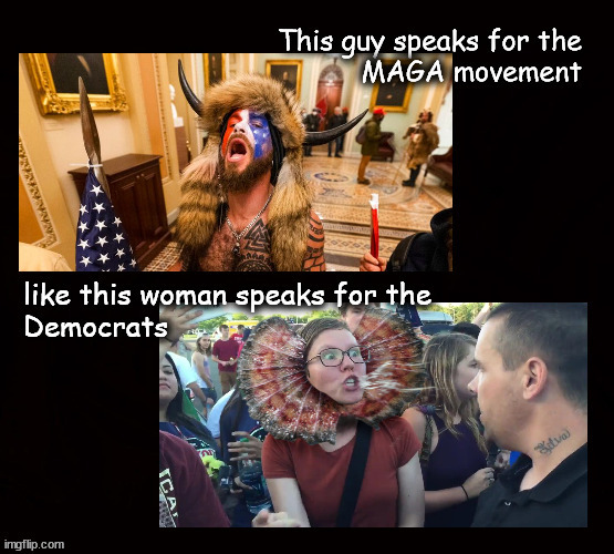 Who speaks for whom? | image tagged in politics | made w/ Imgflip meme maker