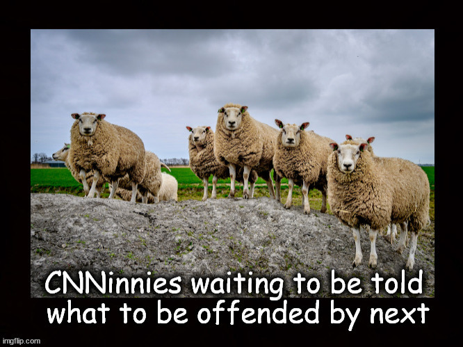 CNNinnies | image tagged in politics | made w/ Imgflip meme maker