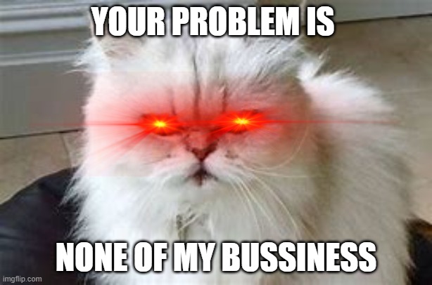 you had a problem? | YOUR PROBLEM IS; NONE OF MY BUSSINESS | image tagged in lmao | made w/ Imgflip meme maker