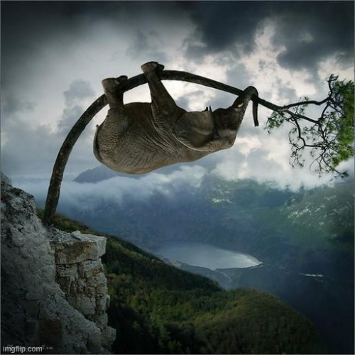 image tagged in awesome | made w/ Imgflip meme maker