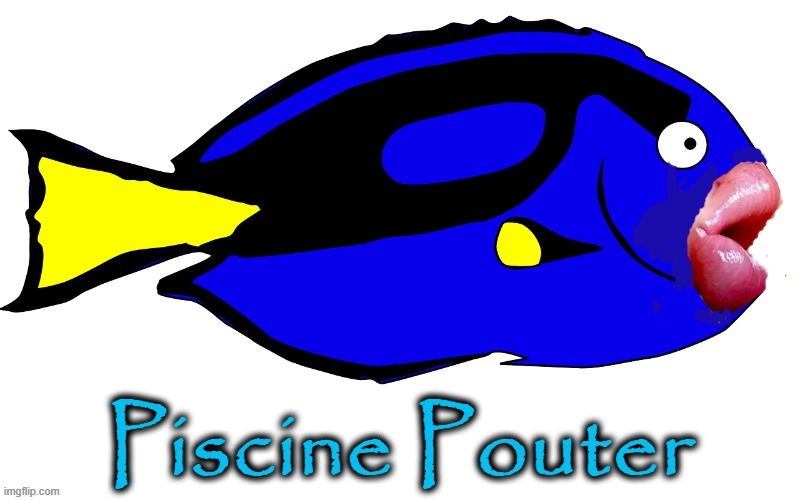 Piscine Pouter | image tagged in fishing for upvotes | made w/ Imgflip meme maker