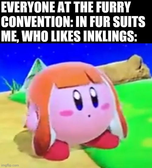 Woomy | EVERYONE AT THE FURRY CONVENTION: IN FUR SUITS
ME, WHO LIKES INKLINGS: | image tagged in inkling kirby | made w/ Imgflip meme maker