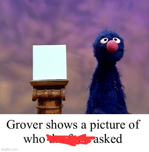 Grover: Who Asked | image tagged in grover who asked | made w/ Imgflip meme maker