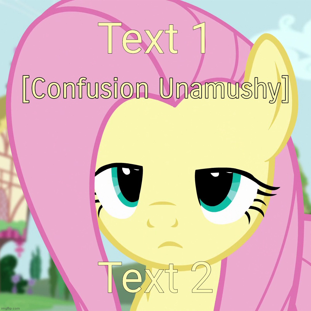Had any relatable confusion things? | Text 1; Text 2 | image tagged in confusion unamushy mlp,visible confusion,third world skeptical kid,memes,fluttershy,confusion | made w/ Imgflip meme maker