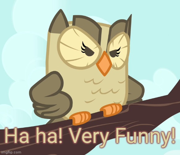 Scowled Owlowiscious (MLP) | Ha ha! Very Funny! | image tagged in scowled owlowiscious mlp | made w/ Imgflip meme maker