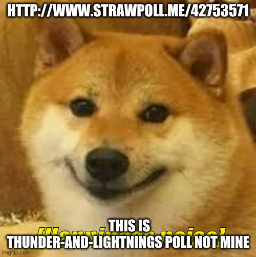 Shibe | HTTP://WWW.STRAWPOLL.ME/42753571; THIS IS THUNDER-AND-LIGHTNINGS POLL NOT MINE | image tagged in shibe | made w/ Imgflip meme maker