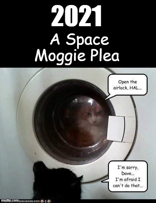 2021 - A Space Moggie Plea |  2021; A Space Moggie Plea | image tagged in cats are awesome | made w/ Imgflip meme maker
