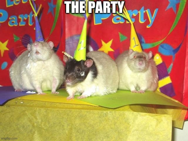 Rat party! | THE PARTY | image tagged in rat party | made w/ Imgflip meme maker