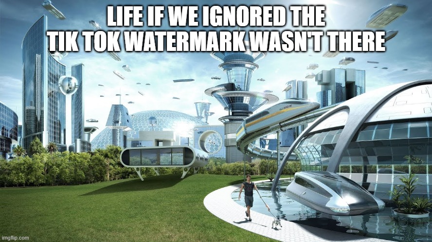 LIFE IF WE IGNORED THE TIK TOK WATERMARK WASN'T THERE | image tagged in life if | made w/ Imgflip meme maker