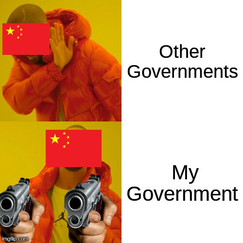 say it!!! | Other Governments; My Government | image tagged in memes,drake hotline bling,china | made w/ Imgflip meme maker