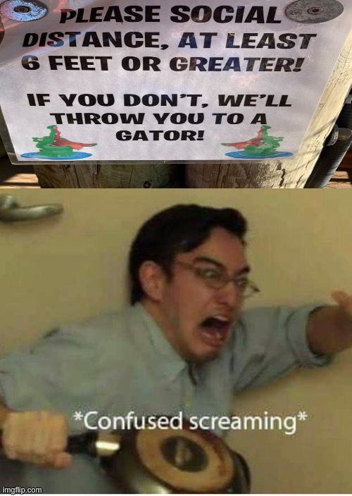 I think we found the real source of Covid deaths... | image tagged in confused screaming,gators,florida,scary,covid-19,social distancing | made w/ Imgflip meme maker