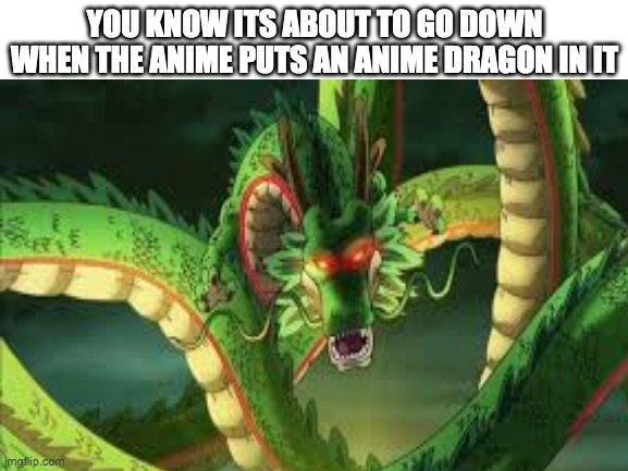 YOU KNOW ITS ABOUT TO GO DOWN WHEN THE ANIME PUTS AN ANIME DRAGON IN IT | made w/ Imgflip meme maker