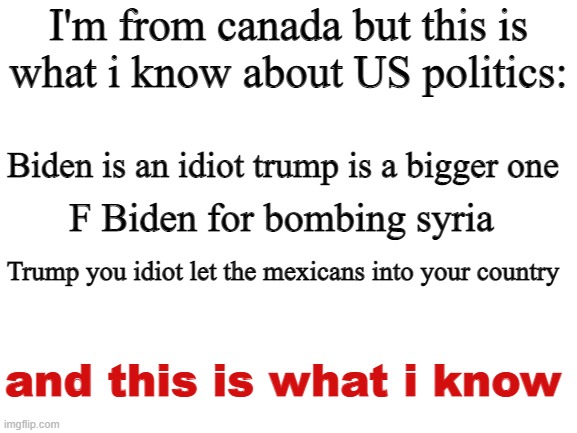What i think about politics in the usa | I'm from canada but this is what i know about US politics:; Biden is an idiot trump is a bigger one; F Biden for bombing syria; Trump you idiot let the mexicans into your country; and this is what i know | image tagged in politics,usa | made w/ Imgflip meme maker