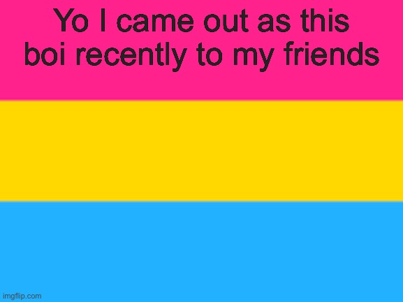 Pansexual flag | Yo I came out as this boi recently to my friends | image tagged in pansexual flag,lgbtq,closet | made w/ Imgflip meme maker