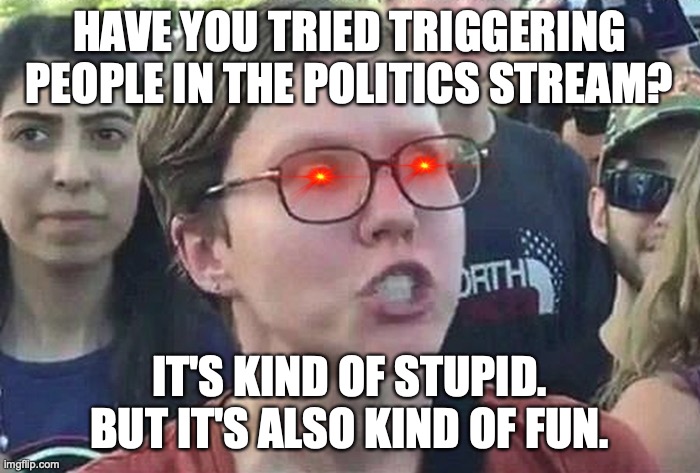 Triggered Liberal | HAVE YOU TRIED TRIGGERING PEOPLE IN THE POLITICS STREAM? IT'S KIND OF STUPID. BUT IT'S ALSO KIND OF FUN. | image tagged in triggered liberal | made w/ Imgflip meme maker